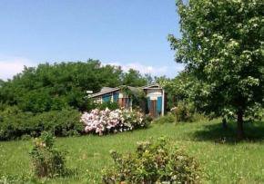 Villa di design nelle colline della Valsesia Ghemme Docg